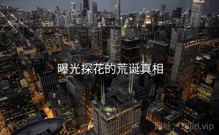 曝光探花的荒诞真相