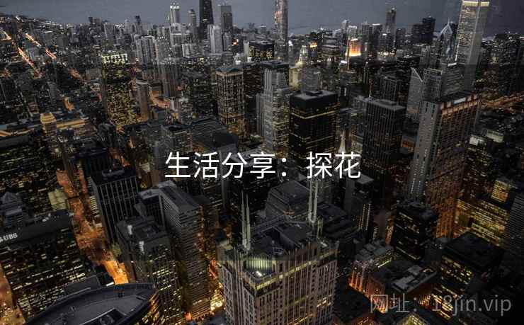 生活分享：探花