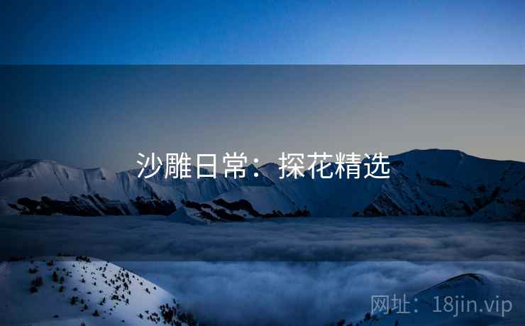 沙雕日常：探花精选