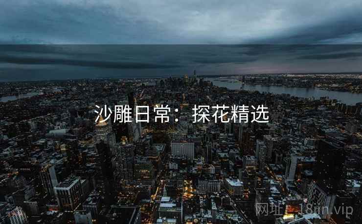 沙雕日常：探花精选