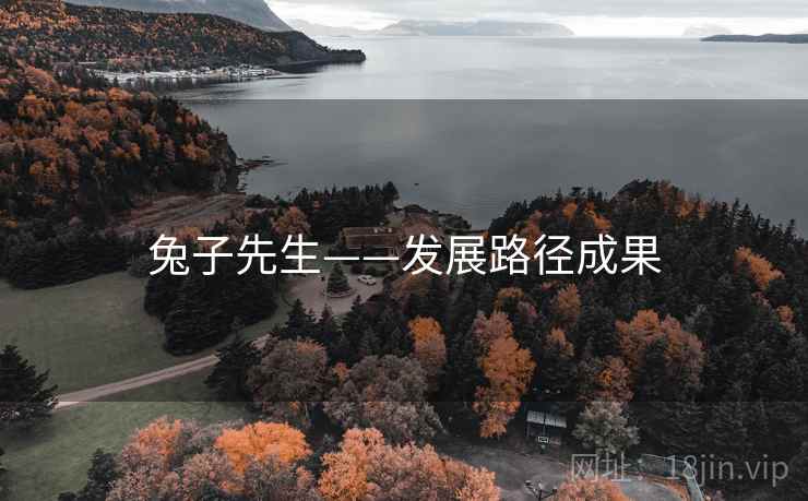 兔子先生——发展路径成果