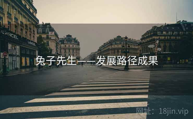 兔子先生——发展路径成果