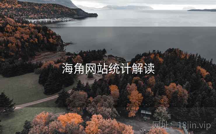 海角网站统计解读