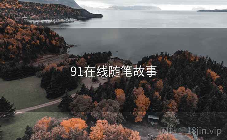 91在线随笔故事