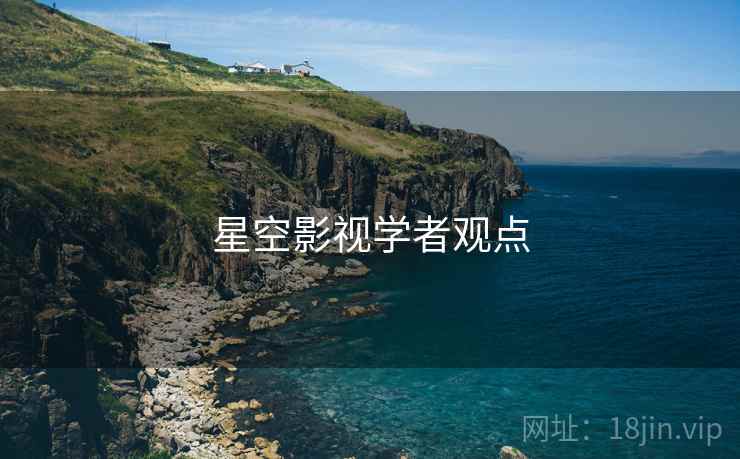 星空影视学者观点