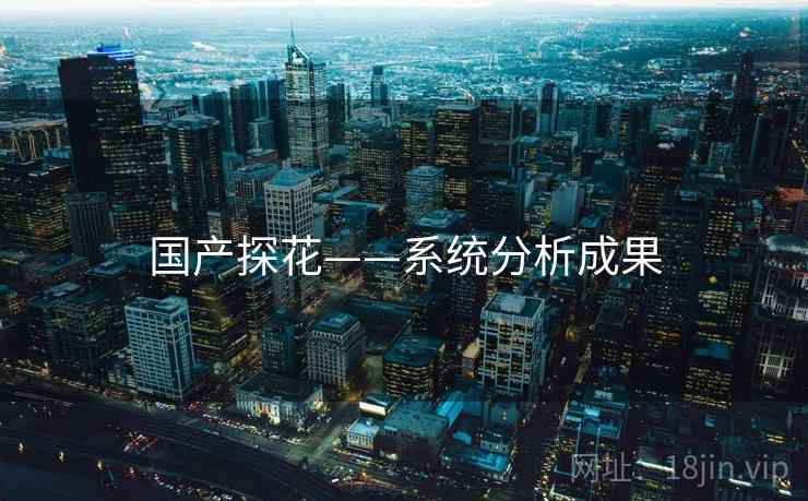 国产探花——系统分析成果