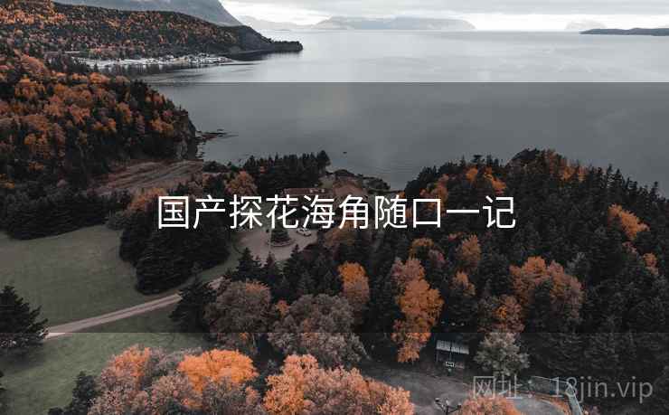 国产探花海角随口一记 国产探花海角随口一记