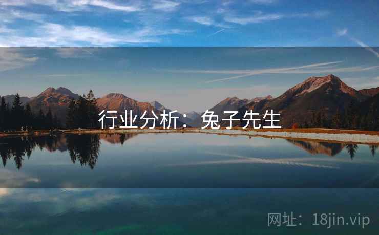 行业分析:兔子先生 行业分析:兔子先生