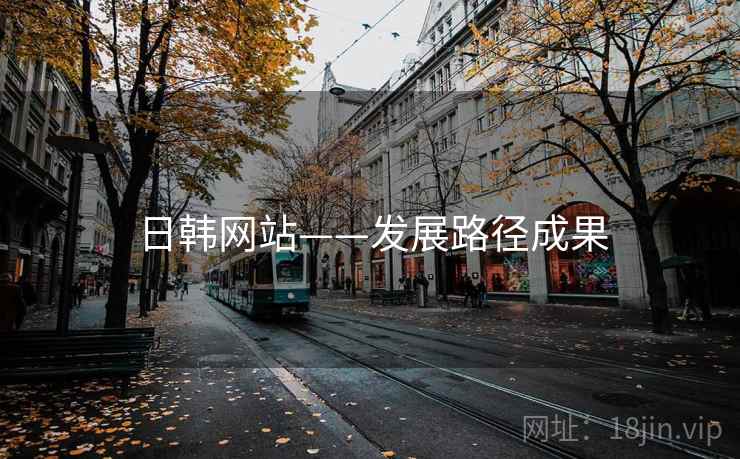 日韩网站——发展路径成果 日韩网站——发展路径成果