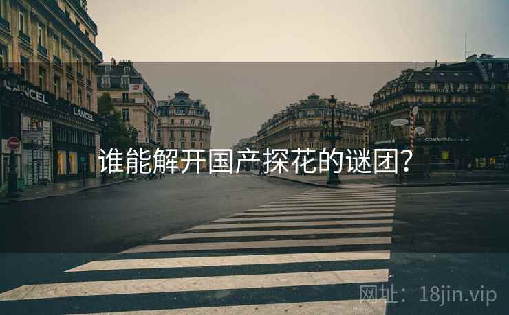 谁能解开国产探花的谜团?