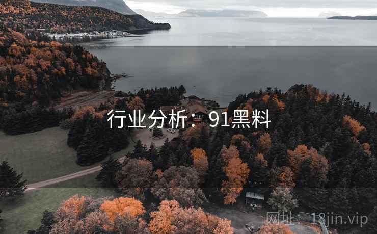 行业分析:91黑料 行业分析:91黑料