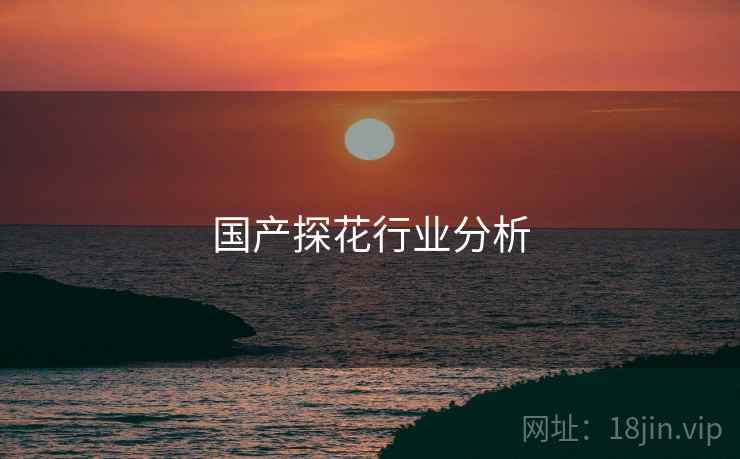 国产探花行业分析