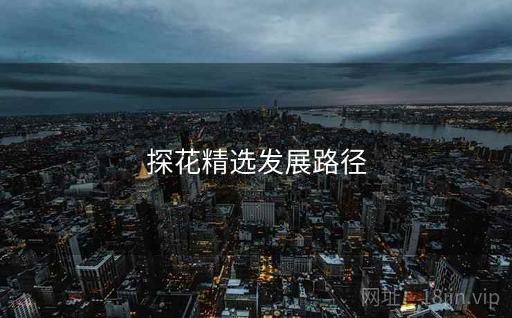 探花精选发展路径 探花精选发展路径