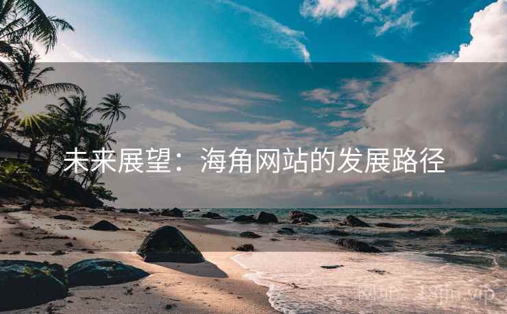 未来展望:海角网站的发展路径