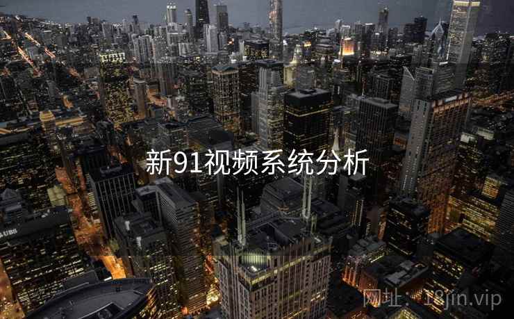 新91视频系统分析