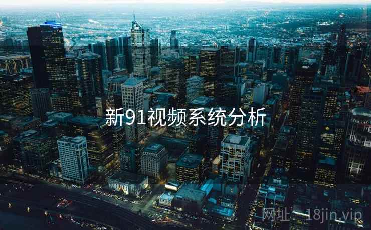 新91视频系统分析