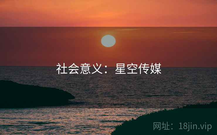 社会意义：星空传媒