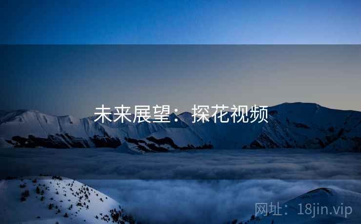 未来展望：探花视频